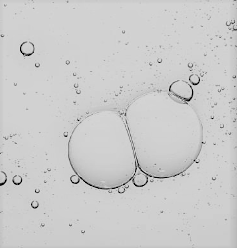 skin hero ingredient rice bran oil